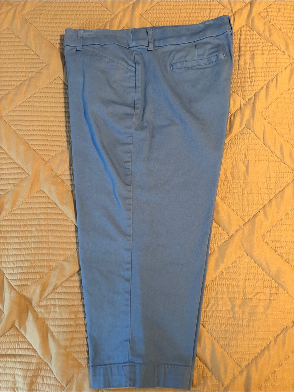 Women’s Light Blue Cropped Chino Pants